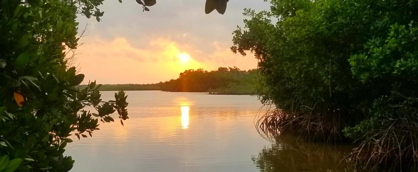 Kayak Launch at Sunrise