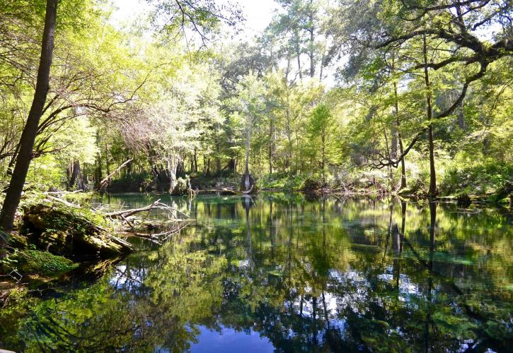 Peacock Springs
